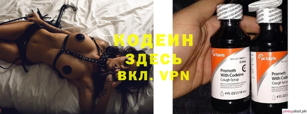 шишки Иннополис