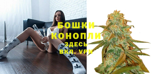 шишки Иннополис
