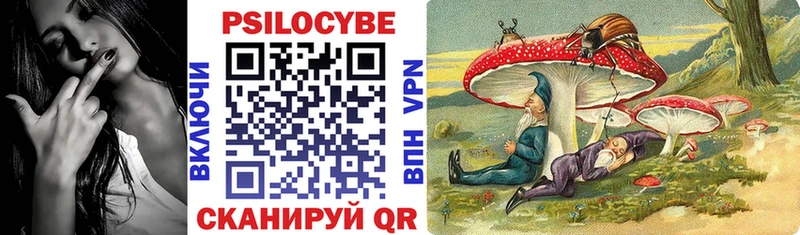 Галлюциногенные грибы GOLDEN TEACHER  Купить  Моздок 